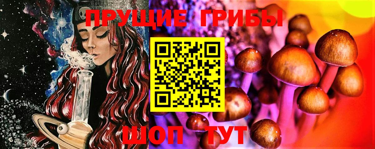 Благовещенск  Псилоцибиновые грибы Psilocybe  как найти закладки  Вход с VPN 