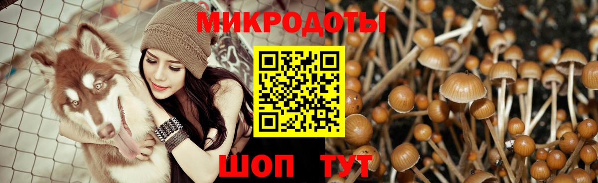 Галлюциногенные грибы Cubensis Благовещенск
